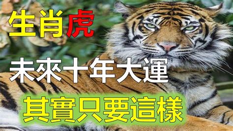 1974生肖2023運勢|1974年属虎人2023年运势及运程，74年49岁生肖虎2023年每月运势